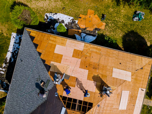 Professional Roofing Contractor in Lily Lake, IL