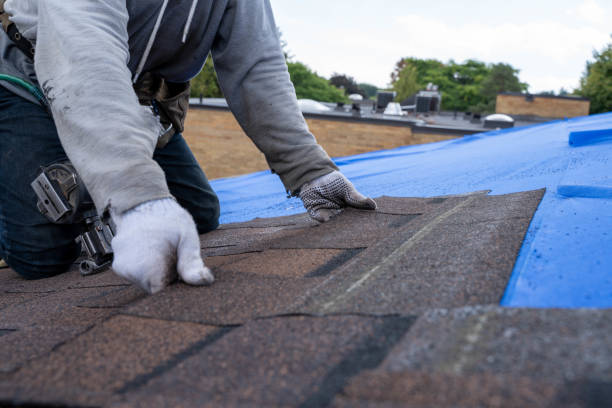 Best Emergency Roof Repair  in Ly Lake, IL