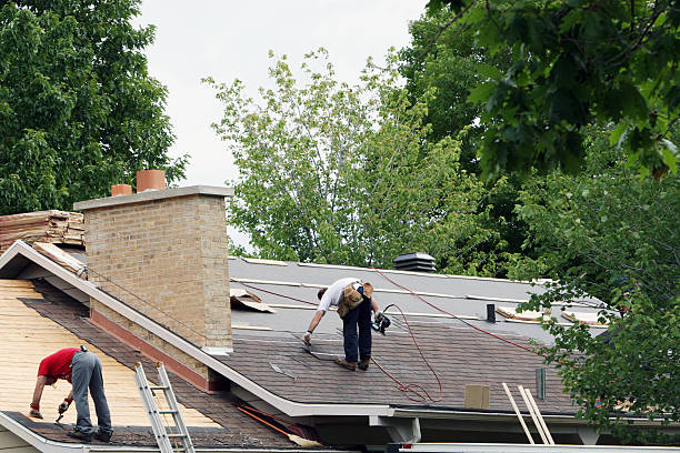 Best Roof Maintenance Services  in Ly Lake, IL