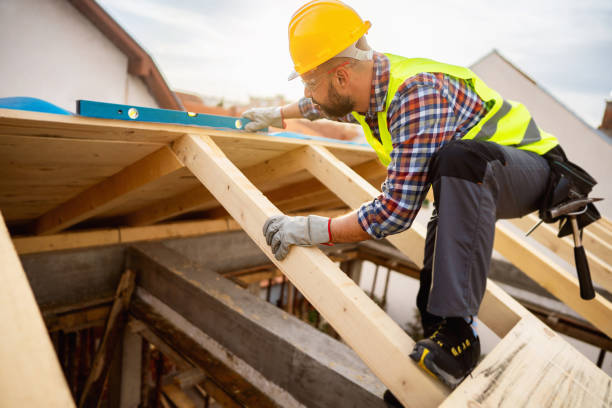 Best Roof Maintenance Services  in Ly Lake, IL