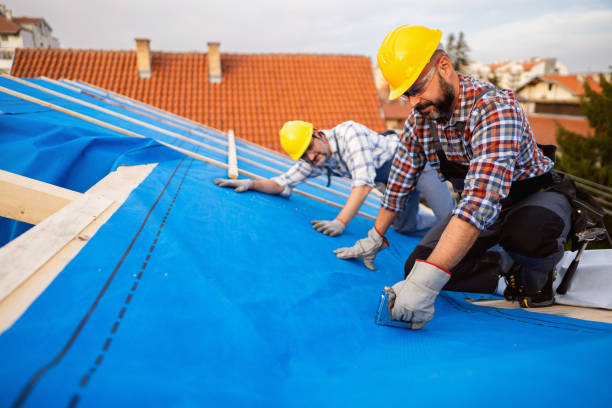 Best Gutter Installation and Roofing  in Ly Lake, IL