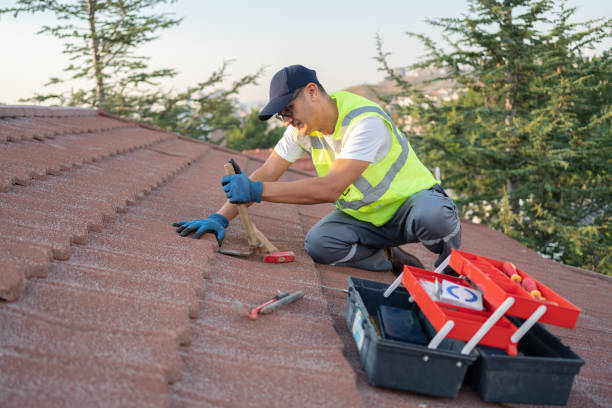 Residential Roof Replacement in Lily Lake, IL