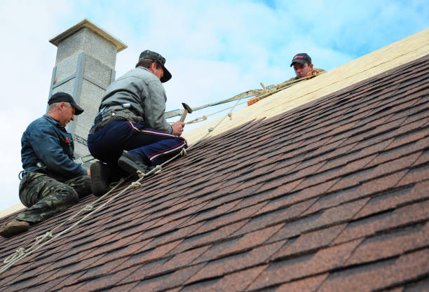 Best Commercial Roofing Services  in Ly Lake, IL