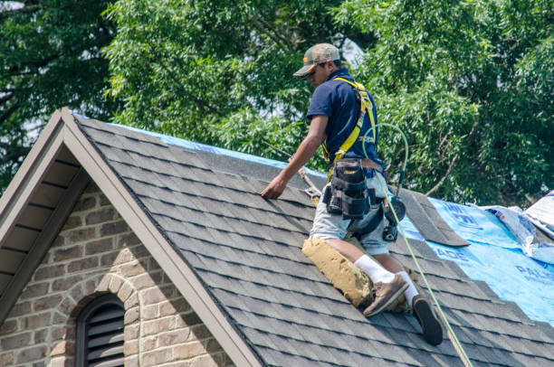 Best Roof Repair Services  in Ly Lake, IL