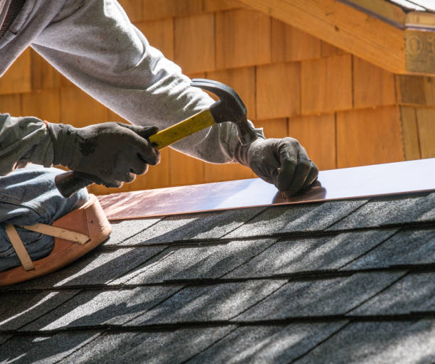 Best Residential Roofing Contractor  in Ly Lake, IL